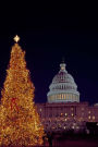Christmas Tree on the Washington DC Mall Journal: 150 Page Lined Notebook/Diary