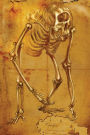 Cyclops Skeleton Grid Notebook: 150 page Grid Notebook Journal Diary