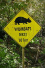 Wombat Sign Journal: 150 Page Lined Notebook/Diary