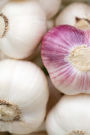 Bulbs of Garlic Cooking Journal: 150 Page Lined Notebook/Diary