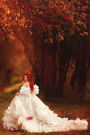 Autumn Red Bride Journal