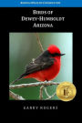 Birds of Dewey-Humboldt, Arizona