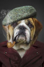 Dapper English Bulldog Journal: 150 Page Lined Notebook/Diary