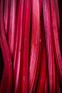 Rhubarb Stalks Food Journal: 150 Page Lined Notebook/Diary
