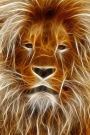 Electric Lion Art Illustration Journal: 150 Page Lined Notebook/Diary