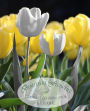 Beautiful Flowers: Grayscale Coloring Book & Journal