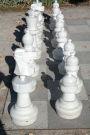 Chess in the Park Journal: 150 Page Lined Notebook/Diary