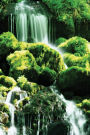 Moss Falls Notebook: 150 page Notebook Journal Diary