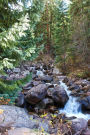 Mountain Stream in the Colorado Rocky Mountains Journal: 150 Page Lined Notebook/Diary