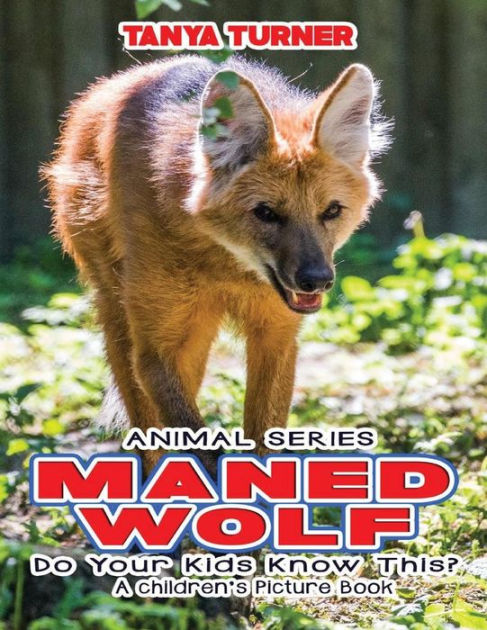 maned wolf plush