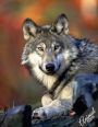 Animal Notebook Collection: Wolf, Journal/Diary, Wide Ruled, 100 Pages, 8.5 x 11, Composition Book