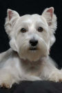 West Highland White Terrier: Artified Pets Journal/Notebook/Diary 160 Pages