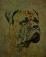 Mastiff: Artified Pets Journal/Notebook/Diary, 8
