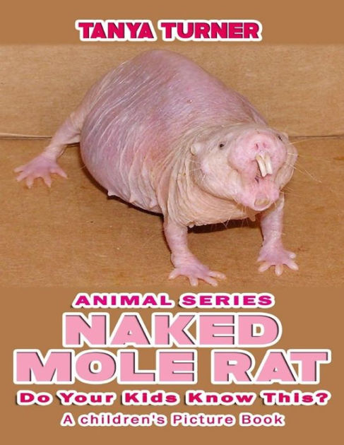 mole rat stuffed animal