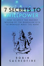 7 Secrets to Willpower: How to Apply the Ancient Wisdom of the Bhagavad Gita to Manifest What You Want