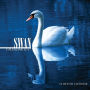 Swan Calendar 2017: 16 Month Calendar