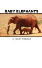 Baby Elephants Weekly Planner 2017: 16 Month Calendar