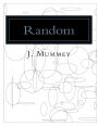 Random: Adult Coloring Book: computer generated drawings based on random coordinates, sizes and shapes.
