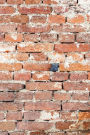 Old Brick Journal