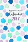 Budget Planner Organizer Calendar 2017: (6x9 budget book)