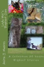 Lady Mei's Bigfoot Clan: A Collection Of Seven Bigfoot Stories