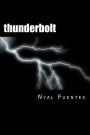 thunderbolt: a stroke recovery memoir