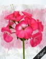 Botanical Notebook Collection: Pink Flowers, Floral Journal/Diary, Wide Ruled, 100 Pages, 8.5 x 11