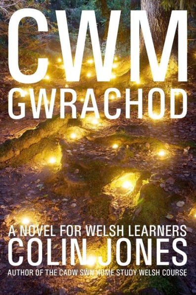 Cwm Gwrachod: A novel for Welsh learners