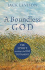 A Boundless God: The Spirit according to the Old Testament
