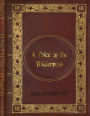 Grace Livingston Hill - A Voice in the Wilderness