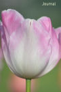 Journal: Pink Tulip