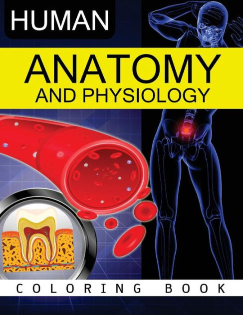 Anatomy & Physiology Coloring Book by Anatomy Coloring Book, Dr Frank K