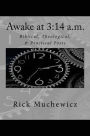 Awake at 3: 14 a.m.: Biblical, Theological, & Practical Posts