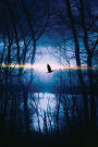 Blackbird Dead of Night Journal: 365 page Journal Notebook Diary