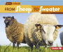 From Sheep to Sweater