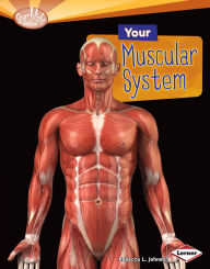 Title: Your Muscular System, Author: Rebecca L. Johnson