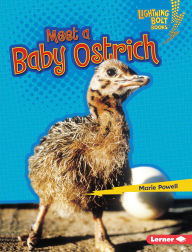 Title: Meet a Baby Ostrich, Author: Marie Powell