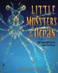 Title: Little Monsters of the Ocean: Metamorphosis under the Waves, Author: Heather L. Montgomery