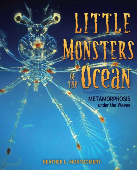 Little Monsters of the Ocean: Metamorphosis under the Waves