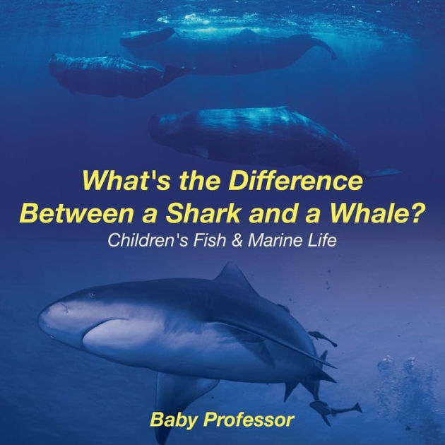 What's the Difference Between a Shark and a Whale? Children's Fish