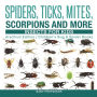 Spiders, Ticks, Mites, Scorpions and More Insects for Kids - Arachnid Edition Children's Bug & Spider Books