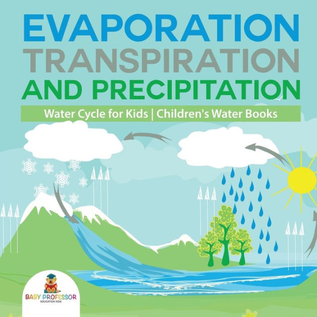 Evaporation, Transpiration and Precipitation Water Cycle for Kids