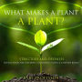 What Makes a Plant a Plant? Structure and Defenses Science Book for Children Children's Science & Nature Books