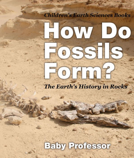 How Do Fossils Form? The Earth's History in Rocks Children's Earth