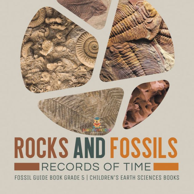 Rocks and Fossils Records of Time Fossil Guide Book Grade 5 Children