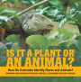 Is It a Plant or an Animal? How Do Scientists Identify Plants and Animals? Compare and Contrast Biology Grade 3 Children's Biology Books
