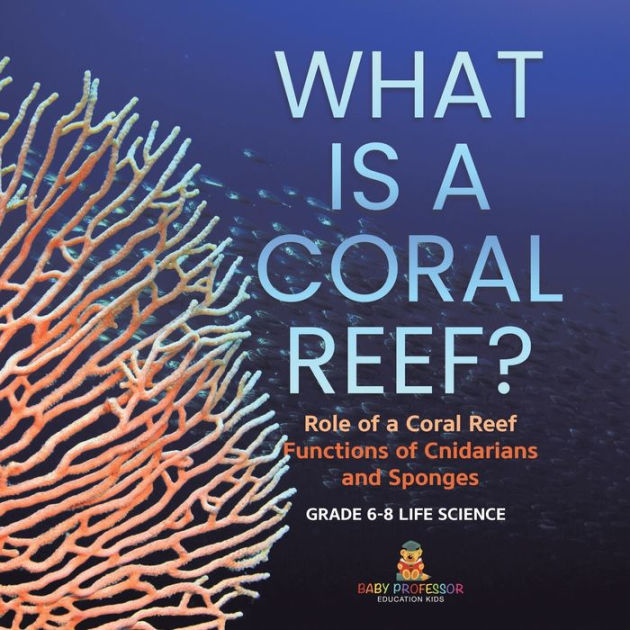What is a Coral Reef? Role of a Coral Reef Functions of Cnidarians and