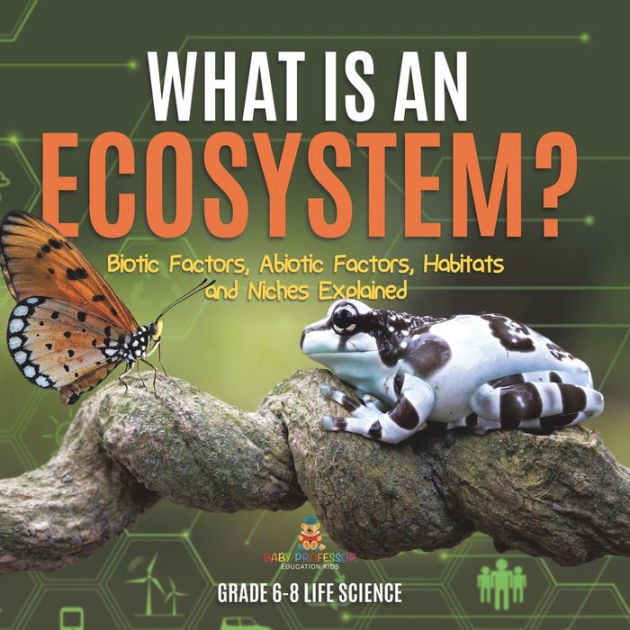 What is an Ecosystem? Biotic Factors, Abiotic Factors, Habitats and