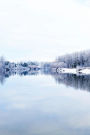 Journal: Winter Wonderland