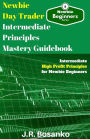 Newbie Day Trader Intermediate Principles Mastery Guidebook: Intermediate High Profit Principles for Newbie Beginners